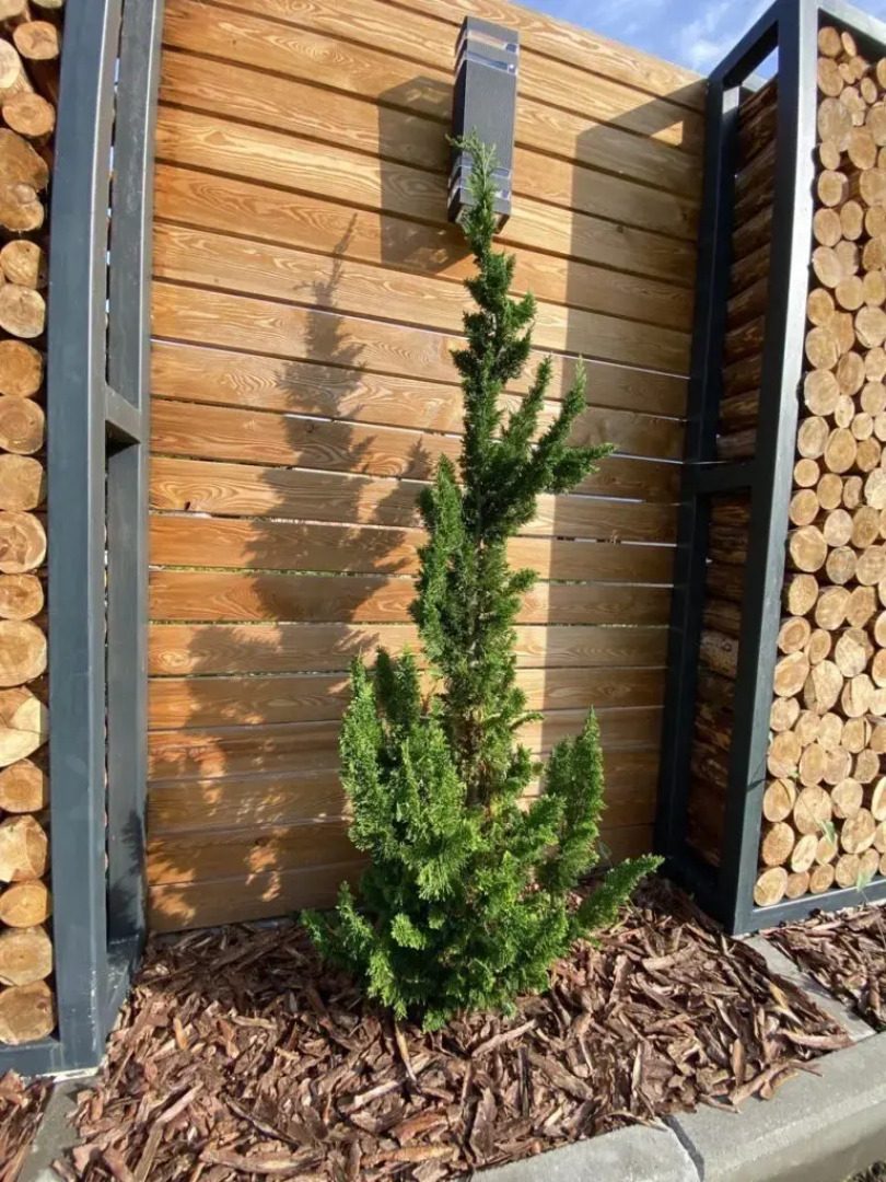 Гостевой дом Дюна