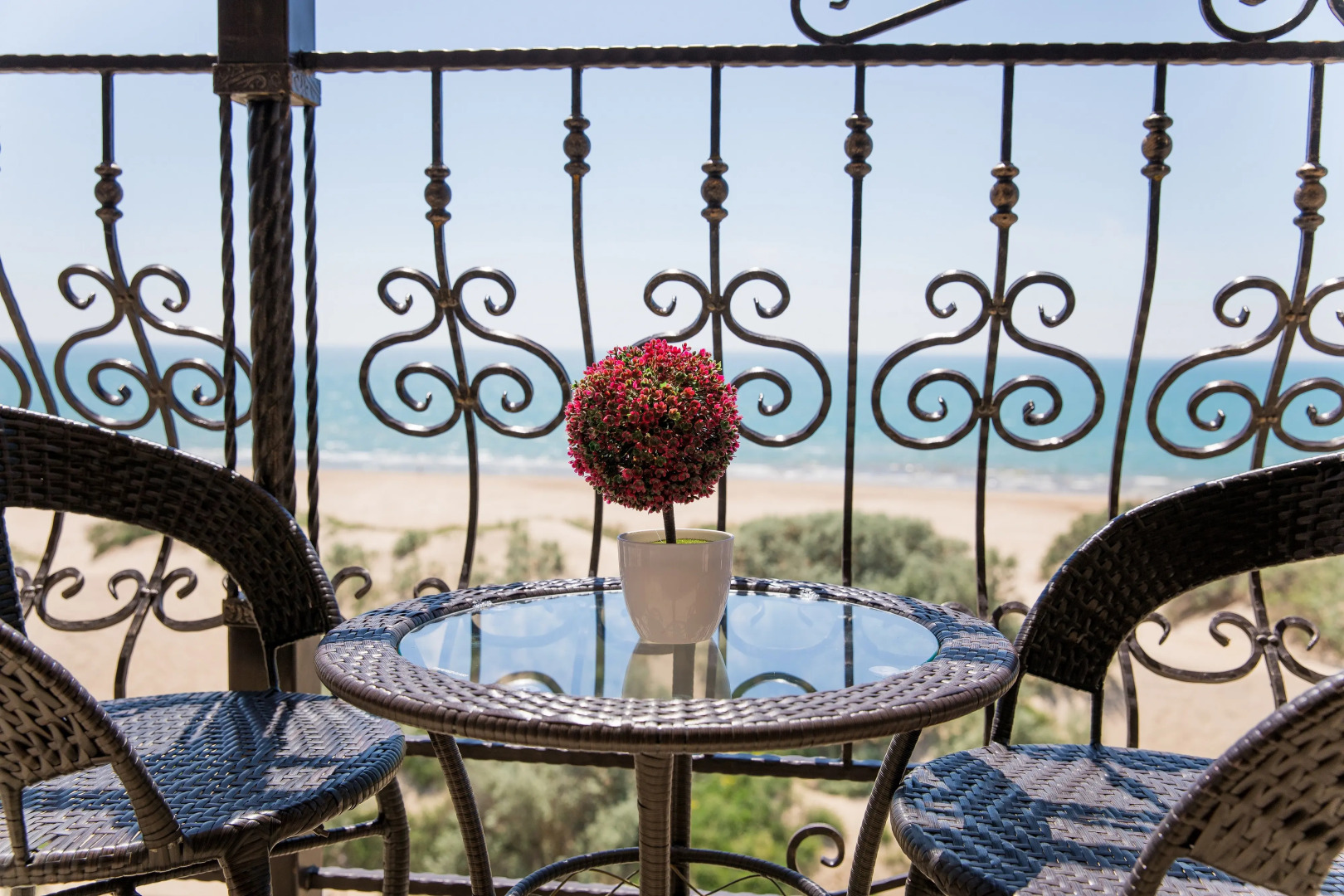 Отель Alfa Summer