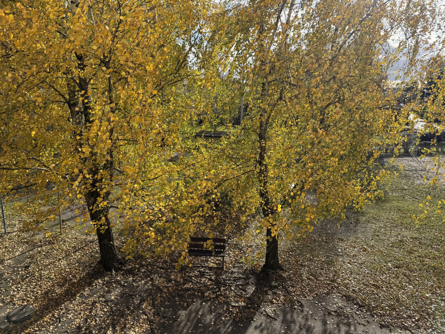 Светлая и уютная квартира в центре Гурьевска