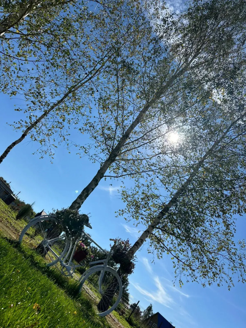 Частный дом Эко Лаптево