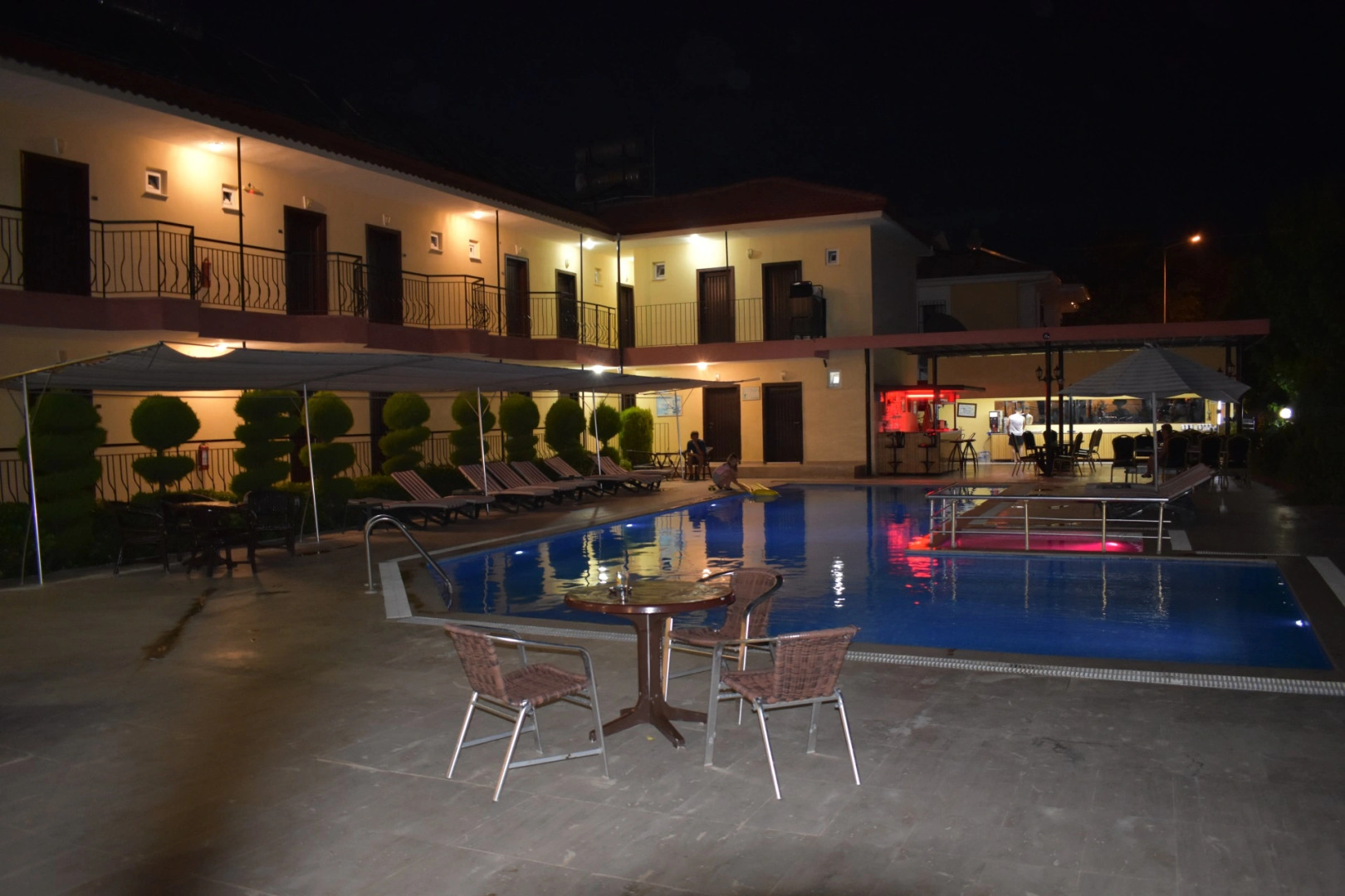 Отель Las Palmeras