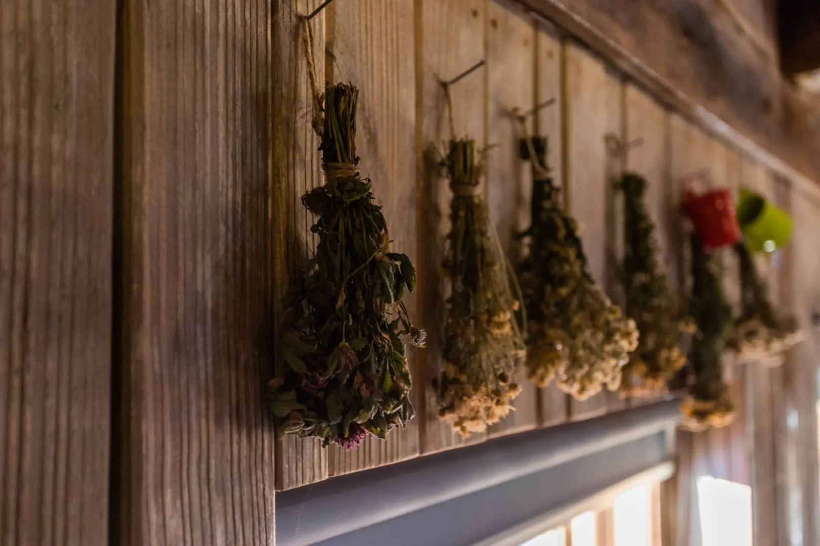 Апартаменты Удивительное Рядом 1