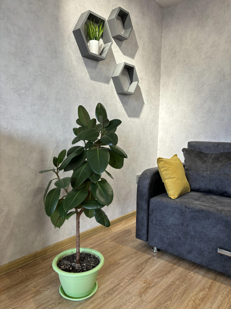 Квартира 161 с видом на Машук