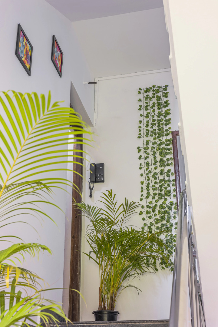 Гостевой дом The Sequeira Goa