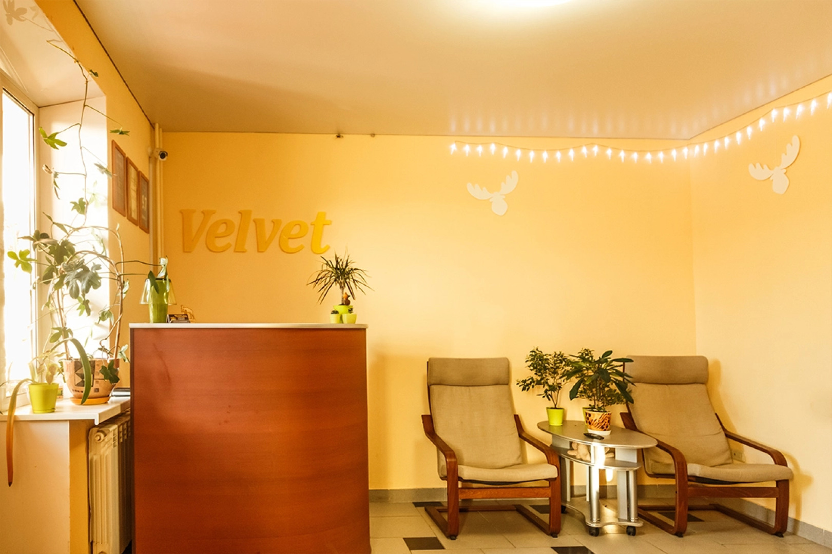 Мини-отель Вельвет