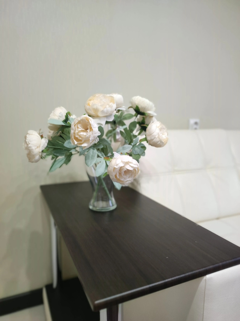 Квартира Vip на Сойфера