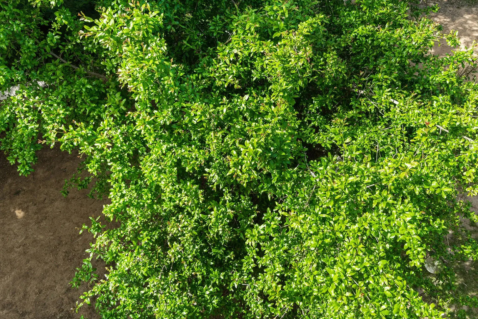 Апартаменты Lux Airport