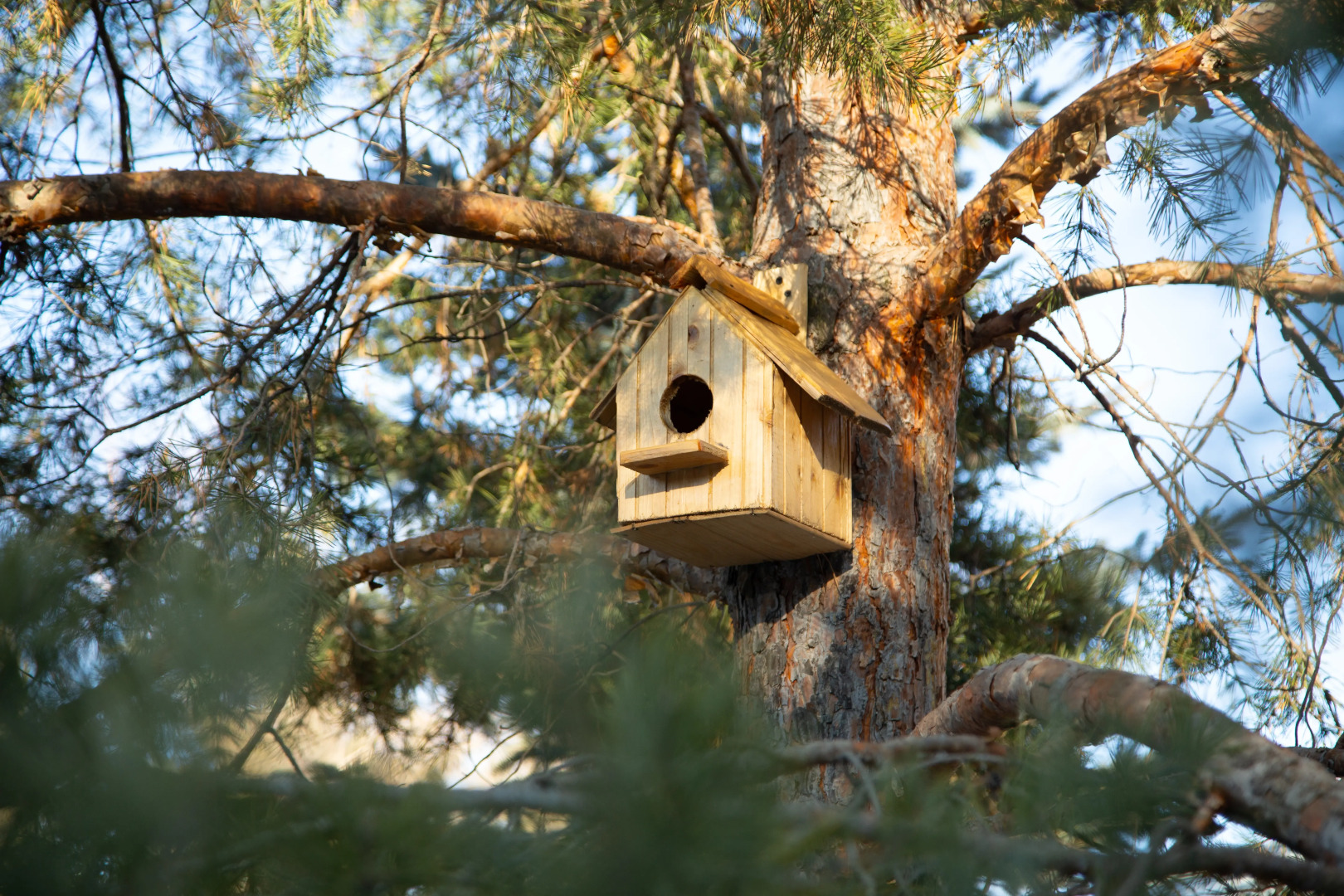 Вилла Bellissimo Garden