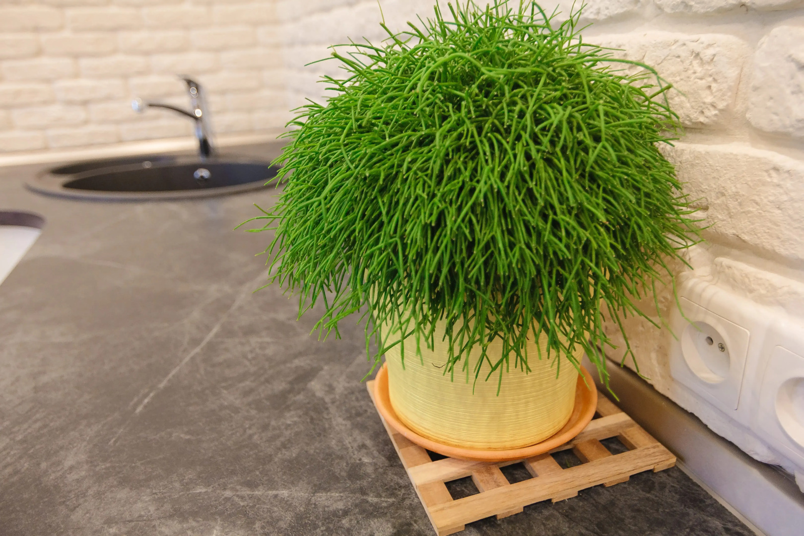 Квартира HotelRoom24 Грузинский Вал