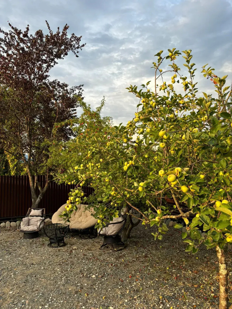 Гостевой дом Mayak Village