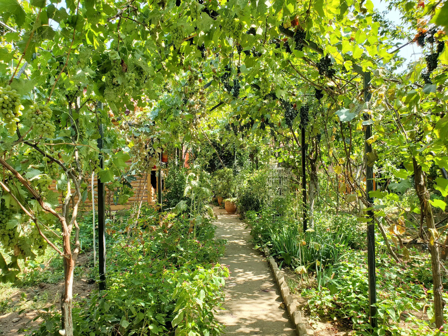 Отель West Tbilisi