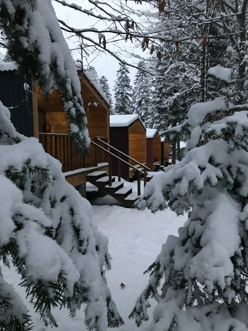 База отдыха Forest house resort