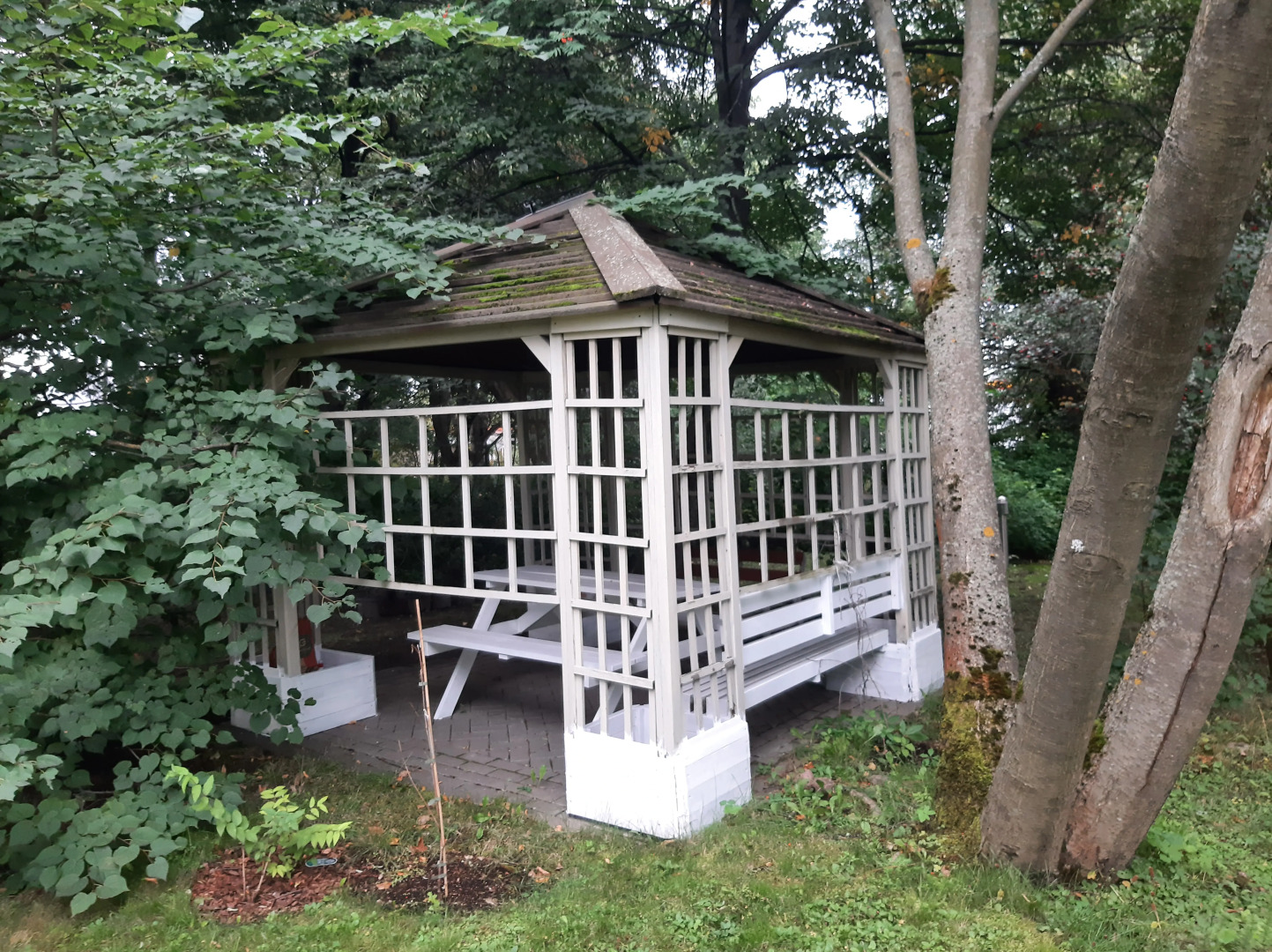 Апартаменты Эко Парк Выборг