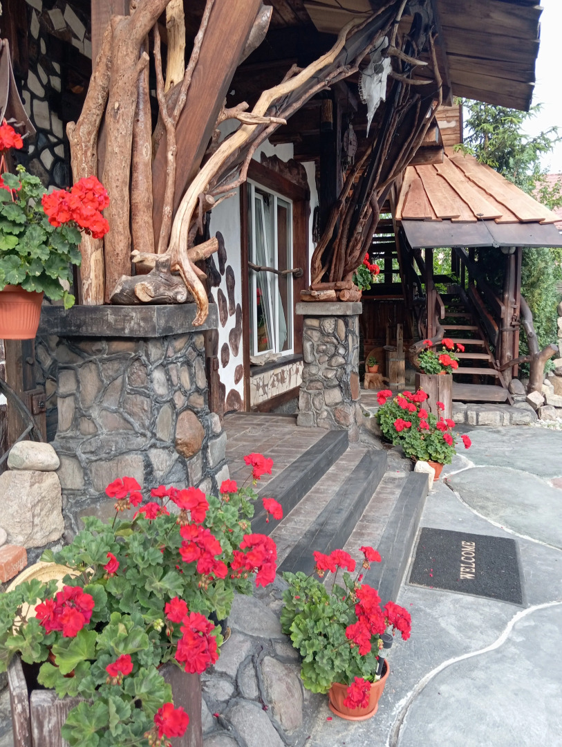 Частный дом деревенский