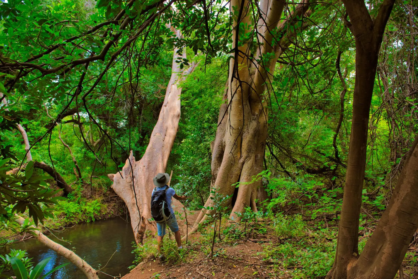 Шале The Hidden Valley