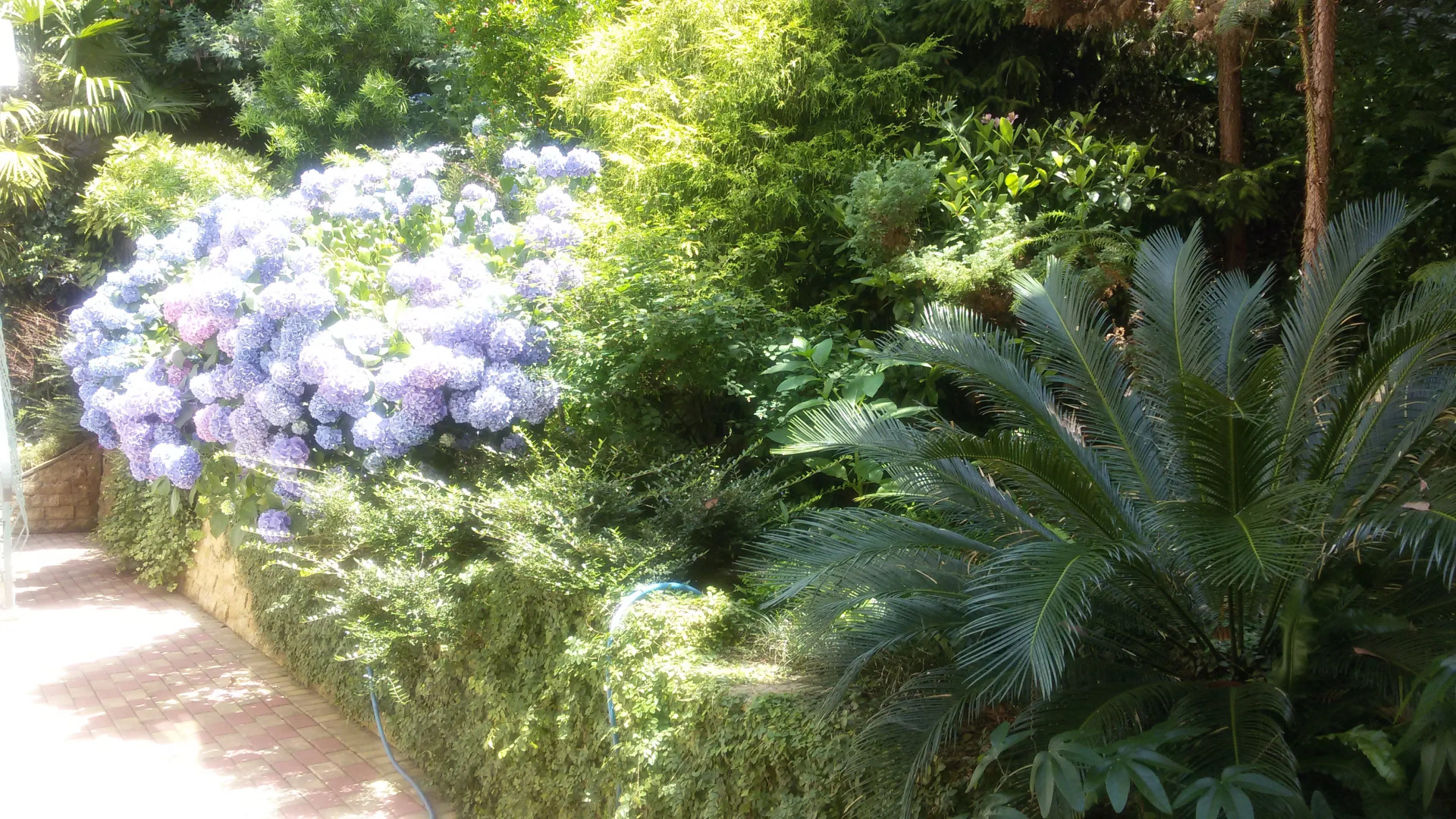 Гостевой дом Эвкалипт