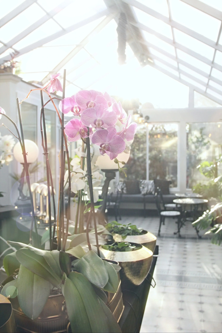 Бутик-отель Vinnhaus