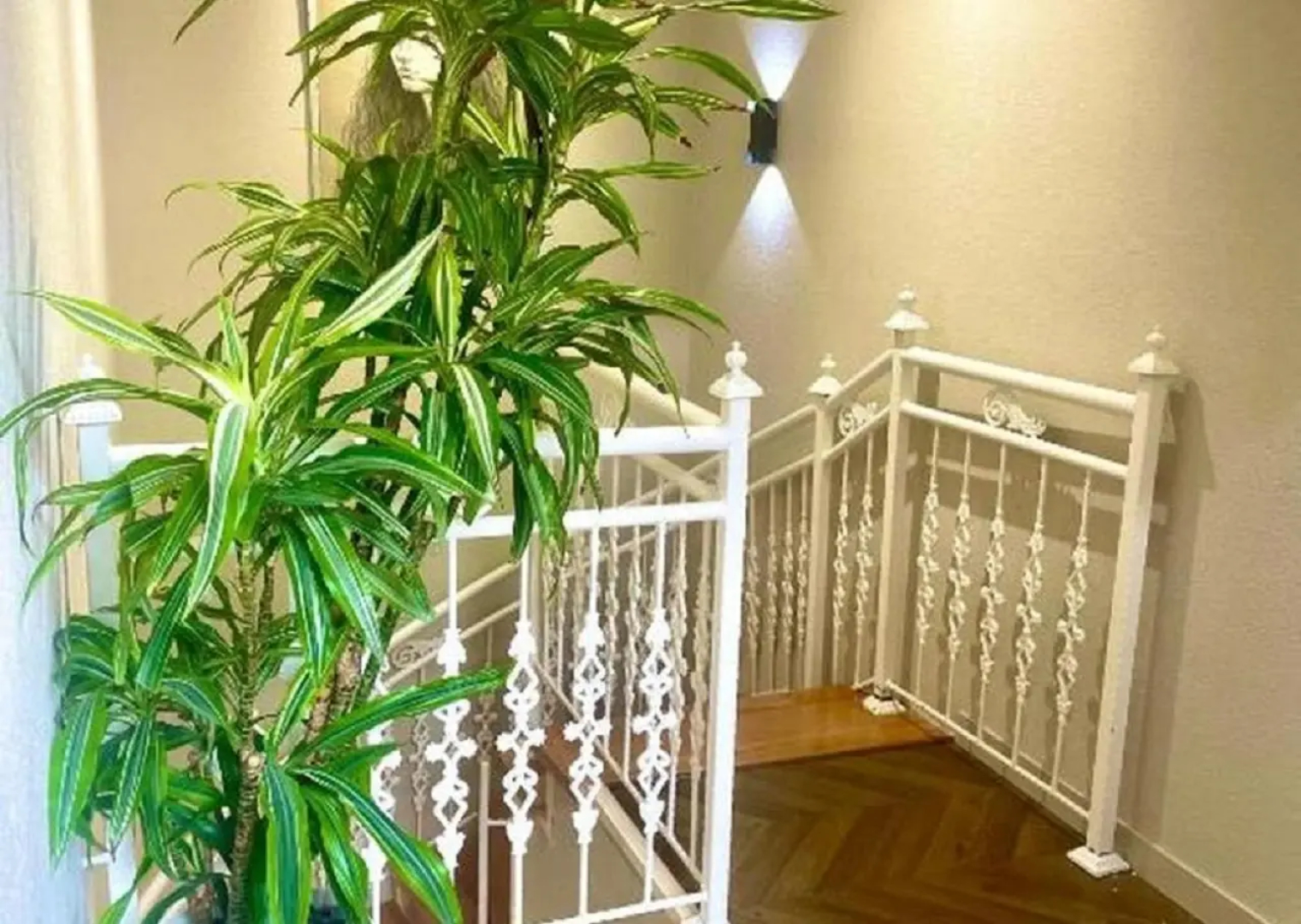 Отель Perla De Mar Inn