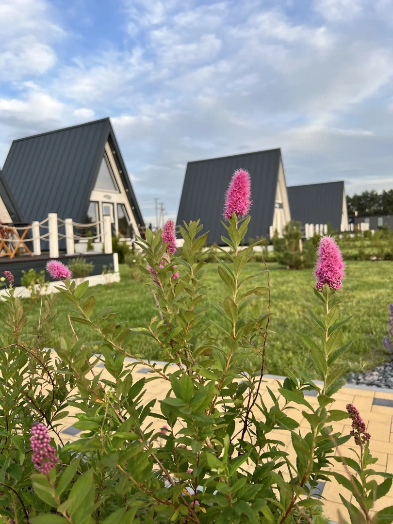 База отдыха Родная Долина