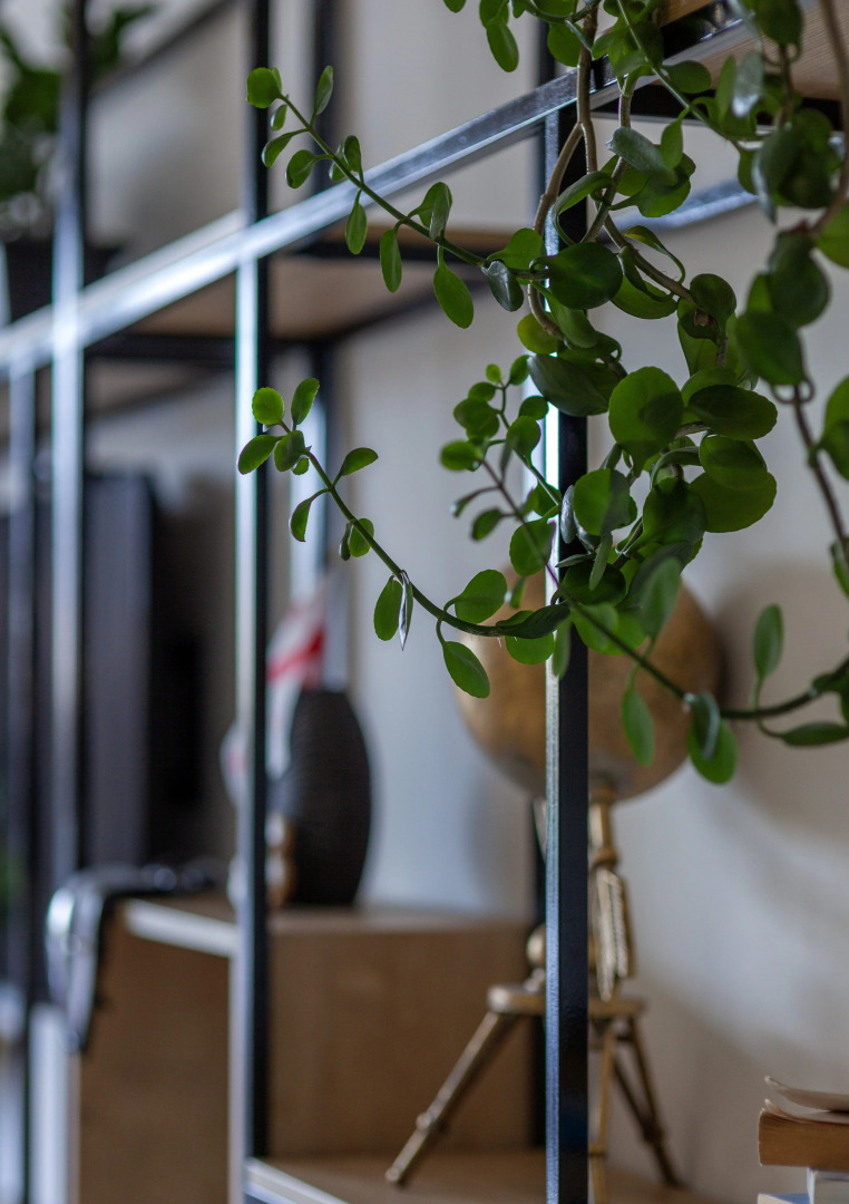 Гостиница Альянс