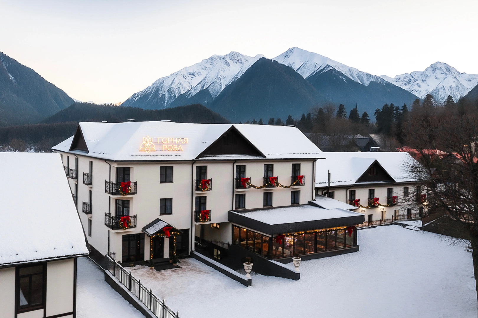 Горная Роза