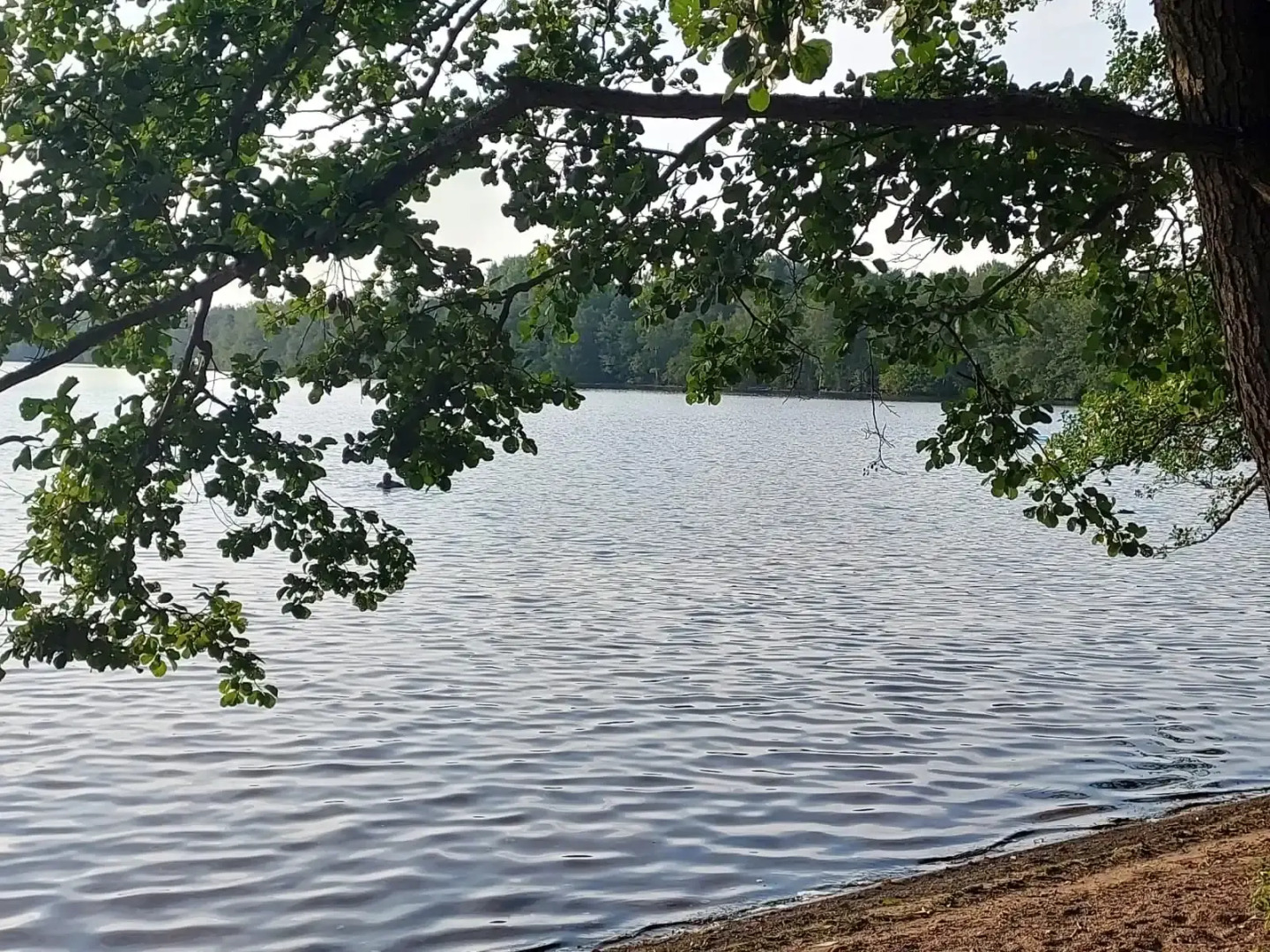 Частный дом Styl/house