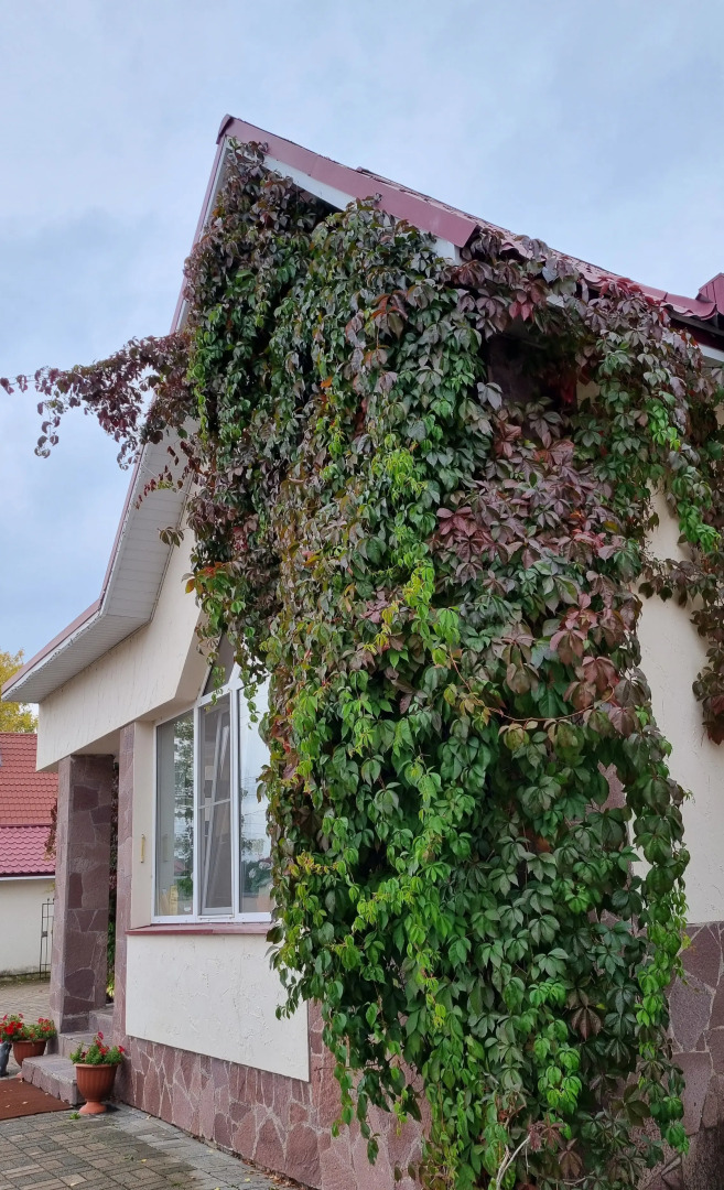 Гостевой Дом Каменный Цветок