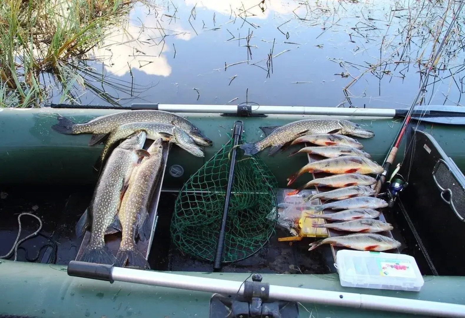 Частный дом РУСЬ