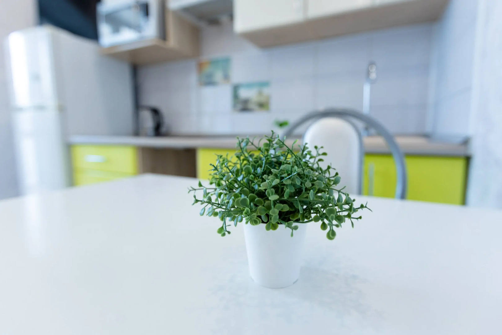 Апартаменты Graphics