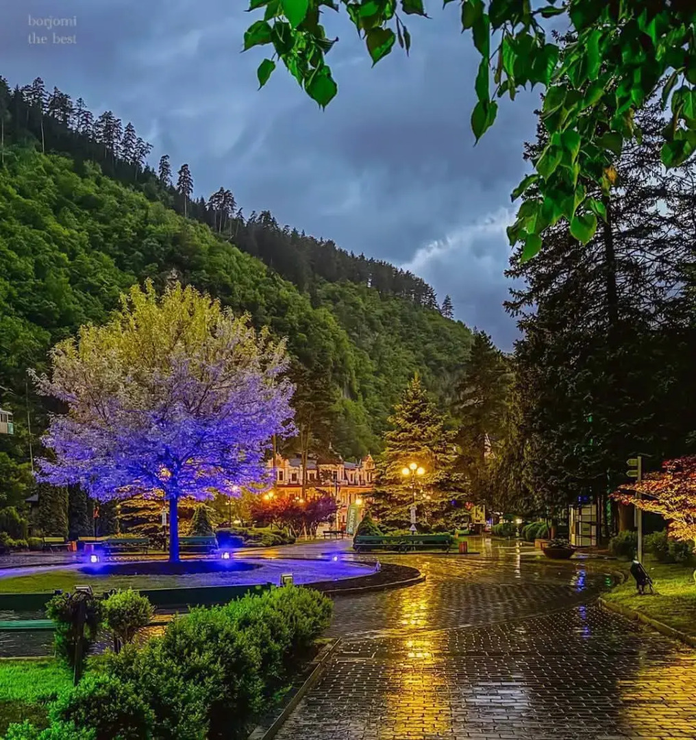 Вилла Green garden Borjomi
