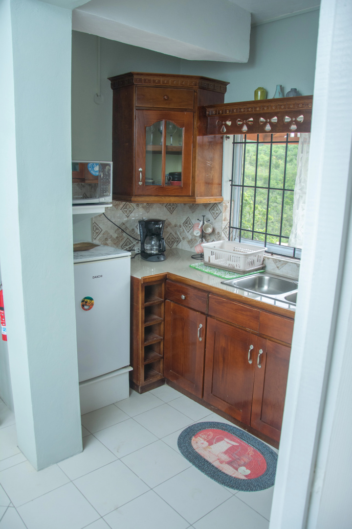 Apartments Mountain View St Lucia