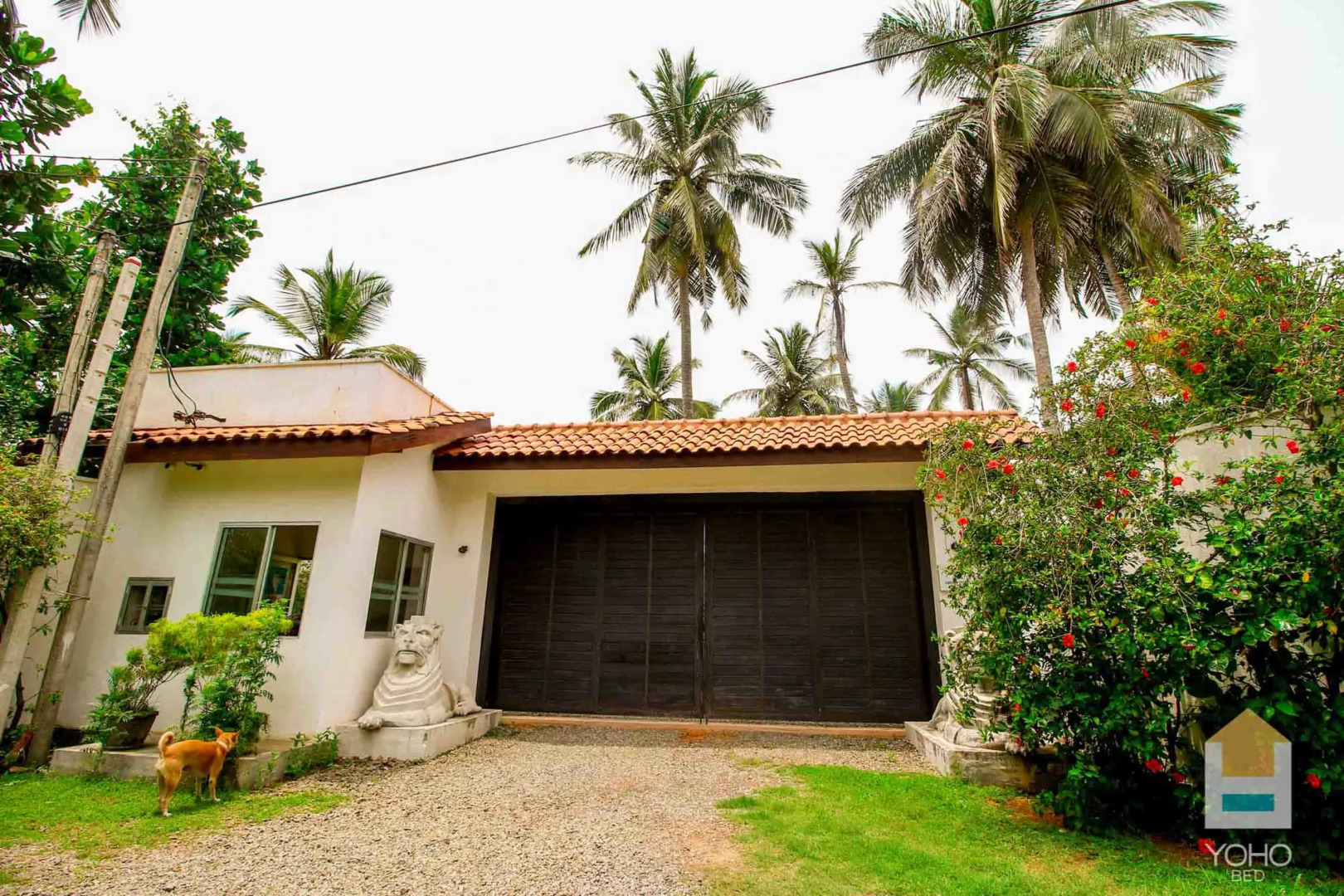 Вилла Yoho Green Turtle