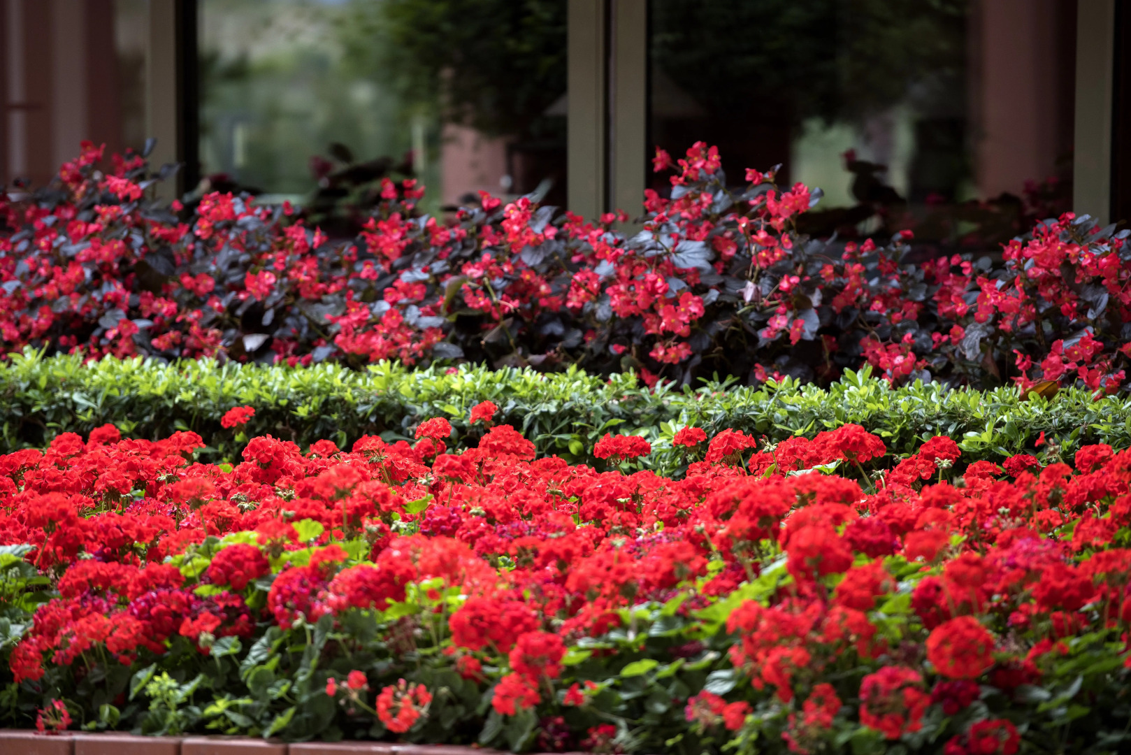 Arum Barut Collection - Ultra All Inclusive