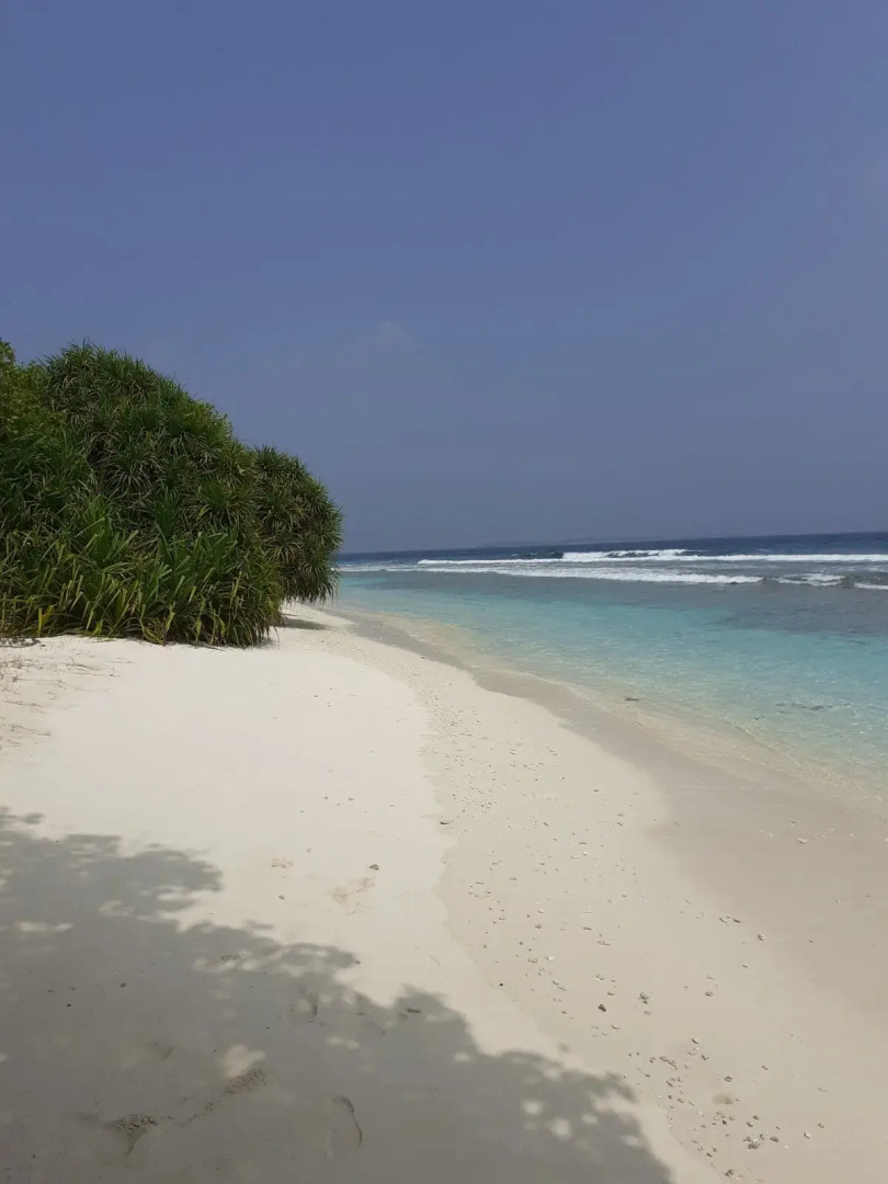 Гостевой Дом Bon Abri Maldives