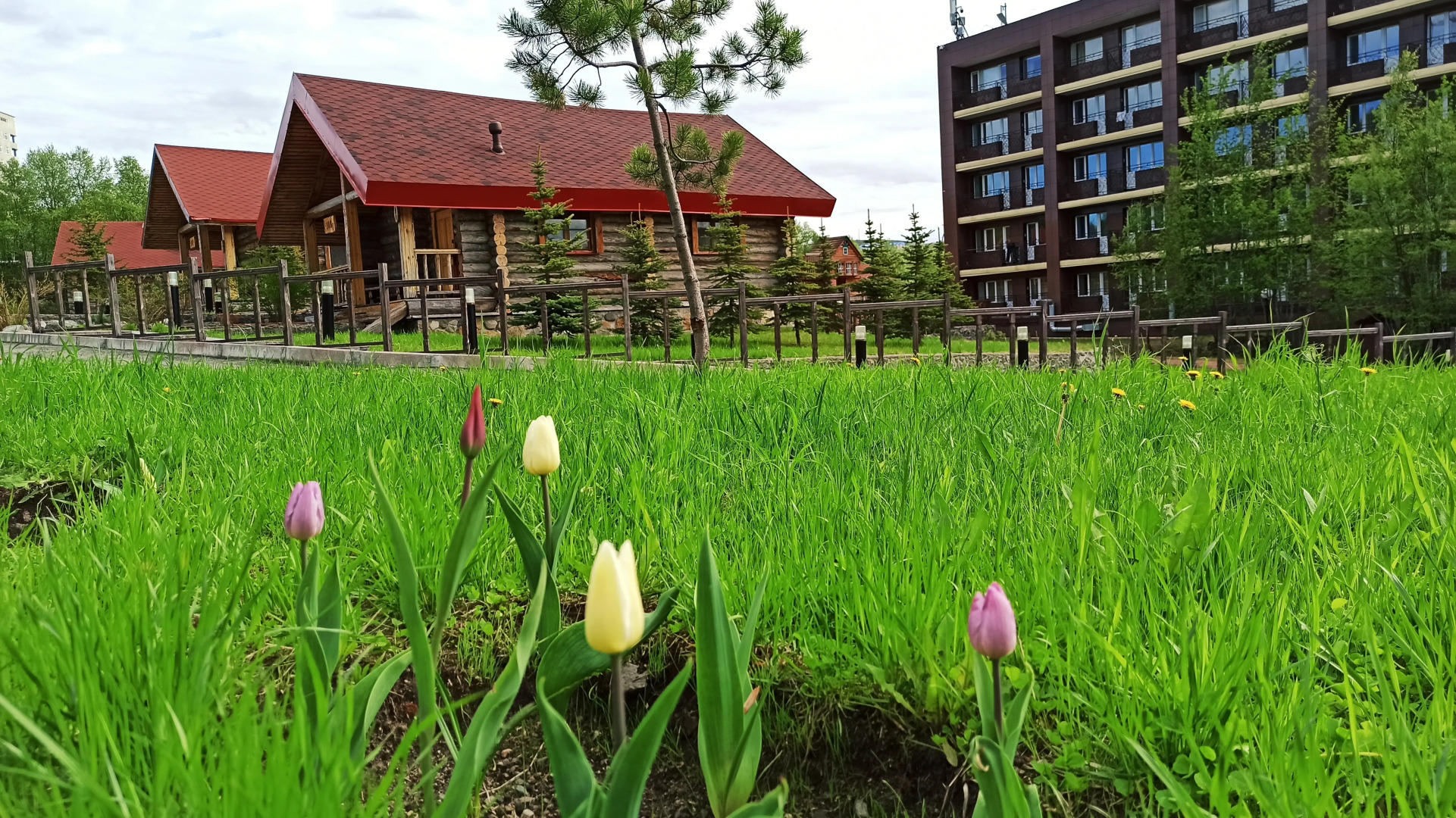 Гостиница 69 параллель