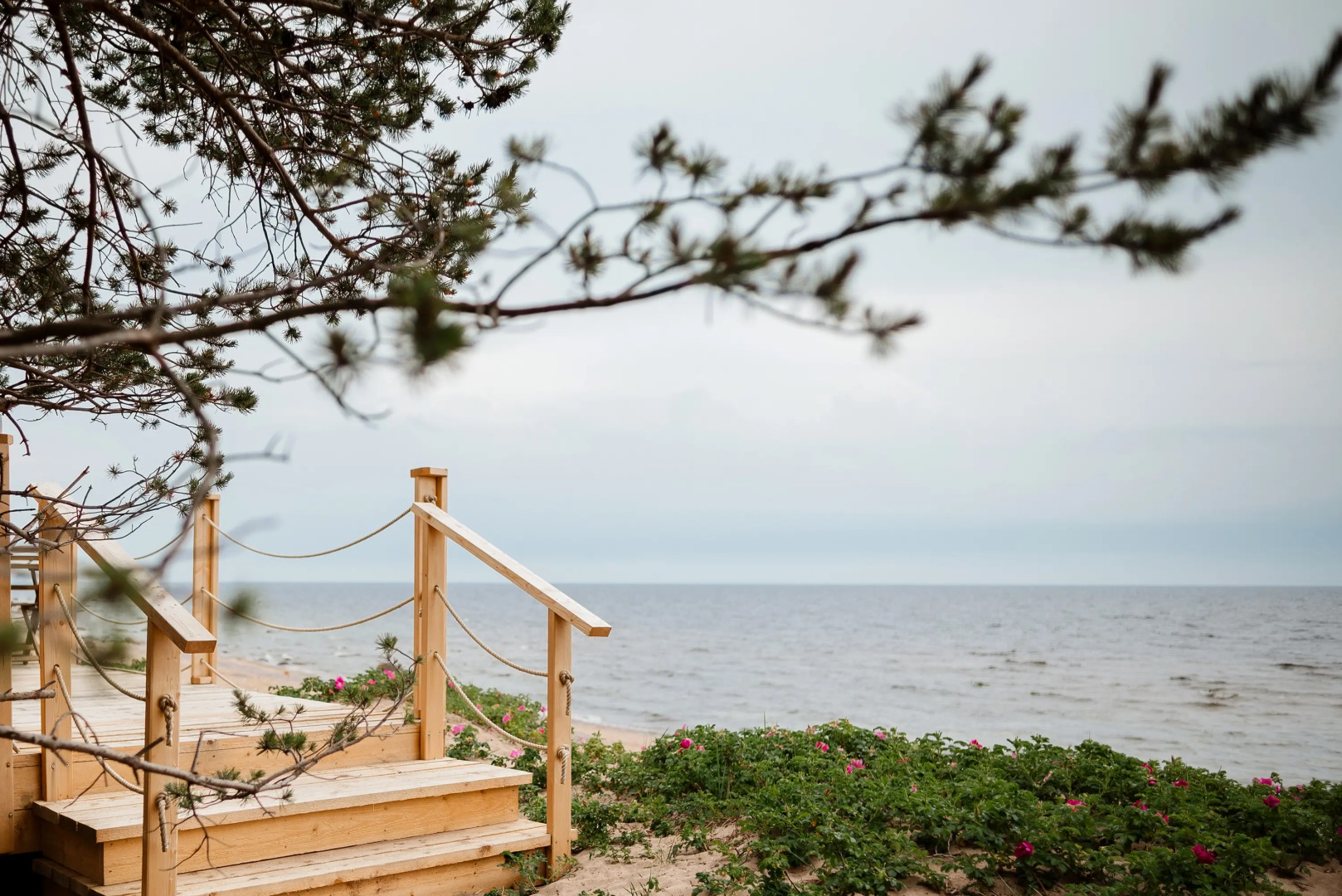 Глэмпинг Майтри кэмп на Финском заливе