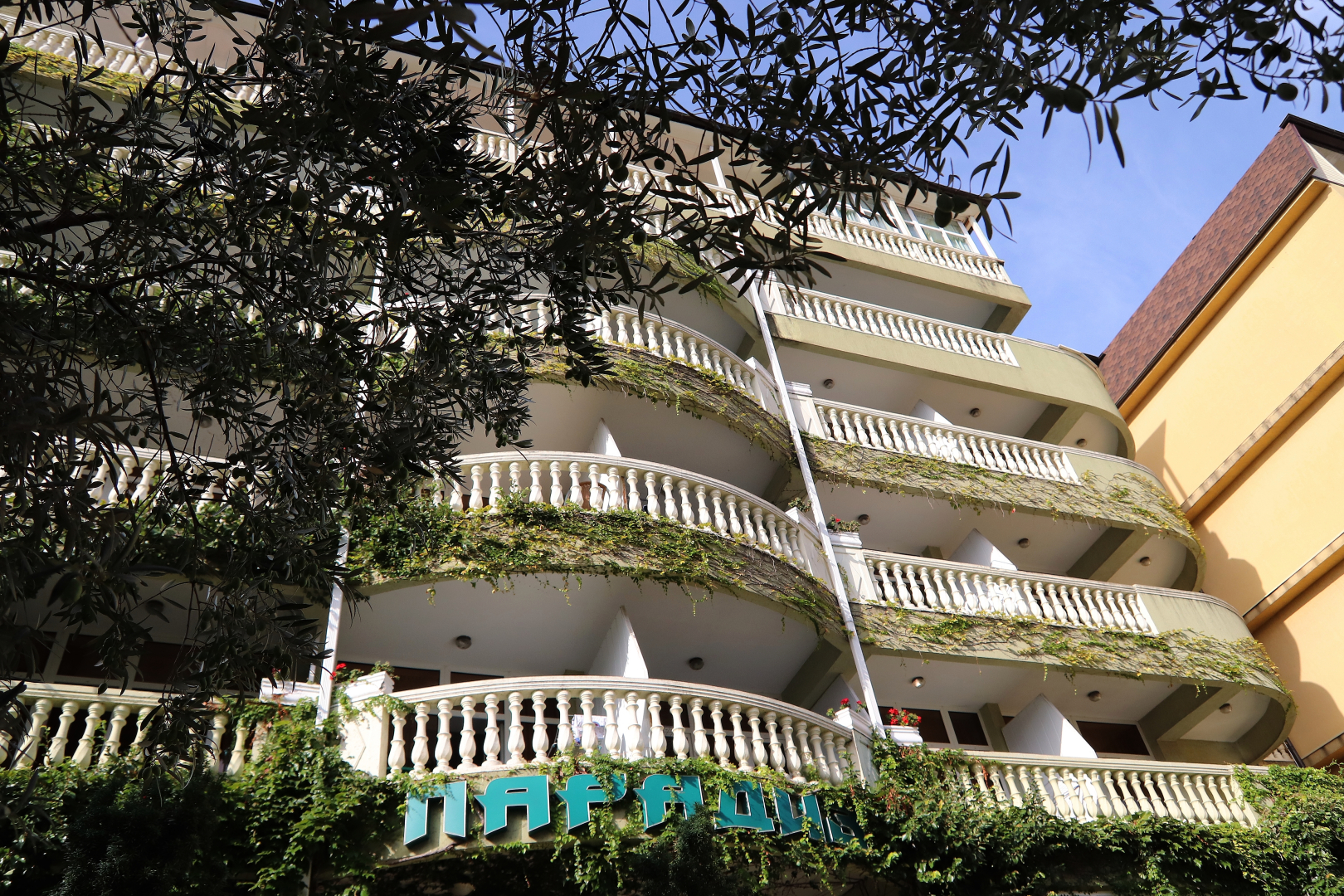 Отель Парадиз