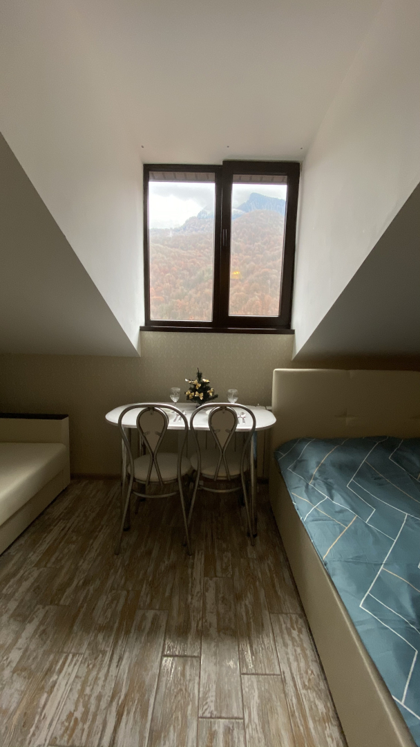 Апартаменты Apartment Krasnaya Polyana