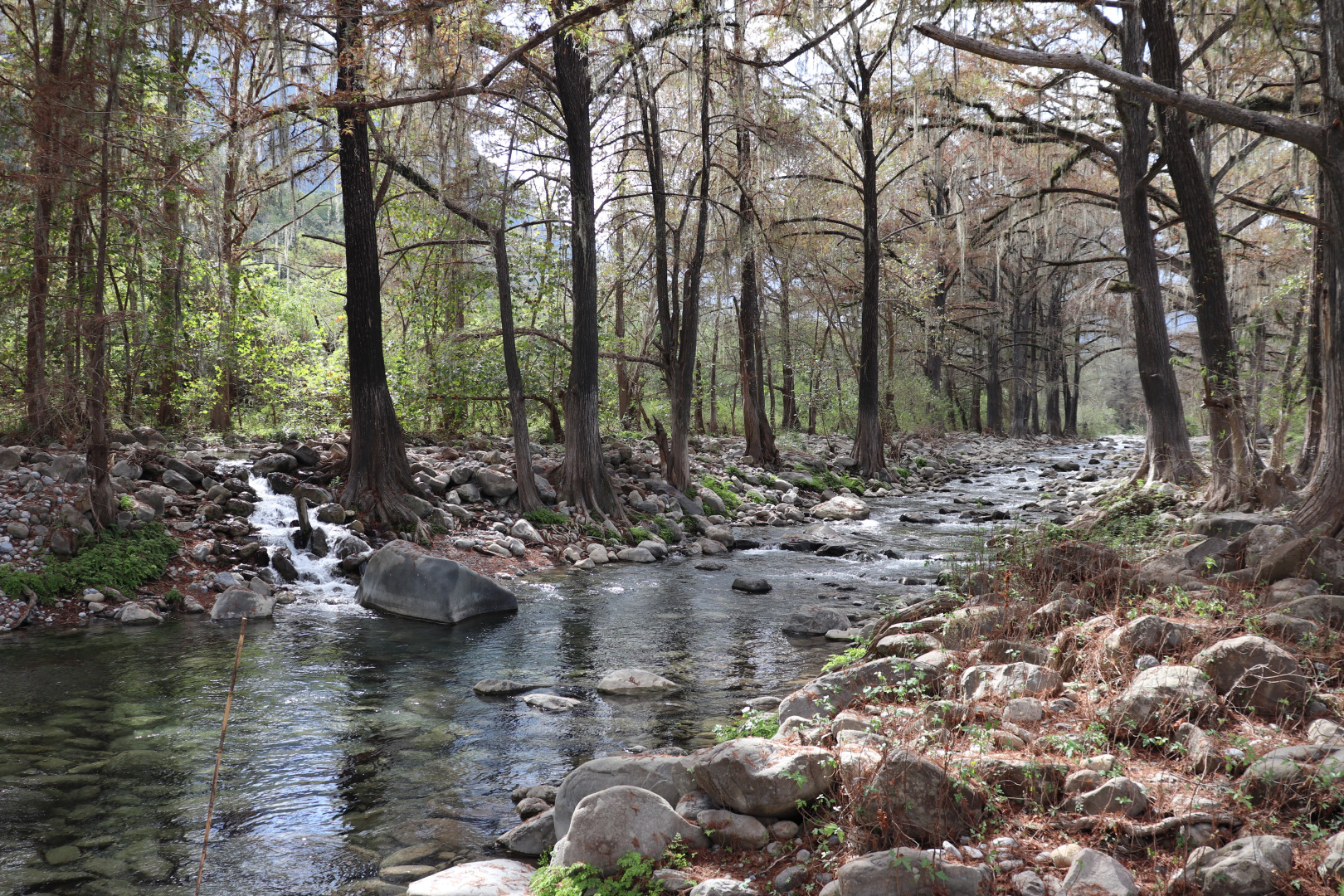 Отель Cabañas Spa Calicantre Rotamundos