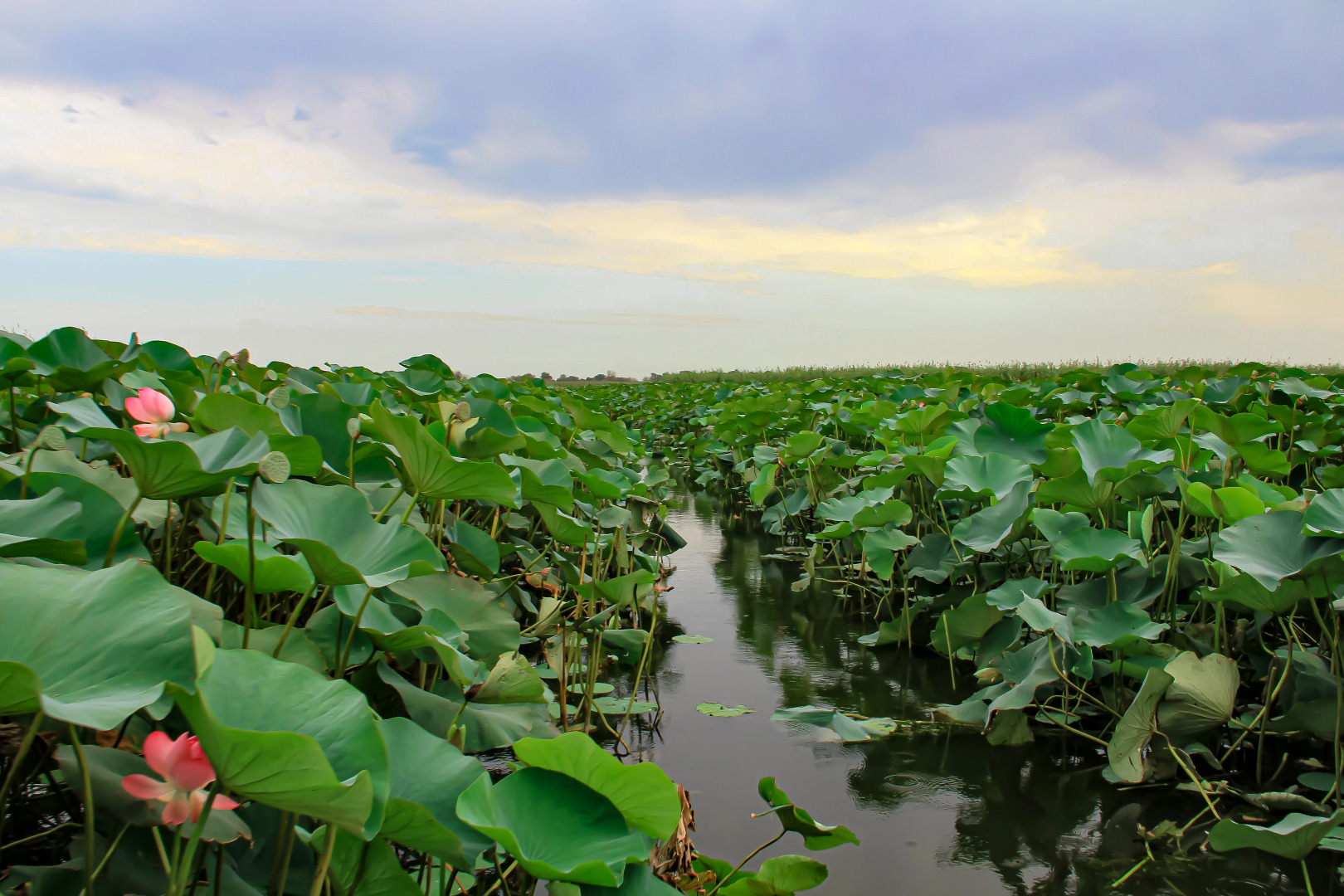 База отдыха Казачий дозор