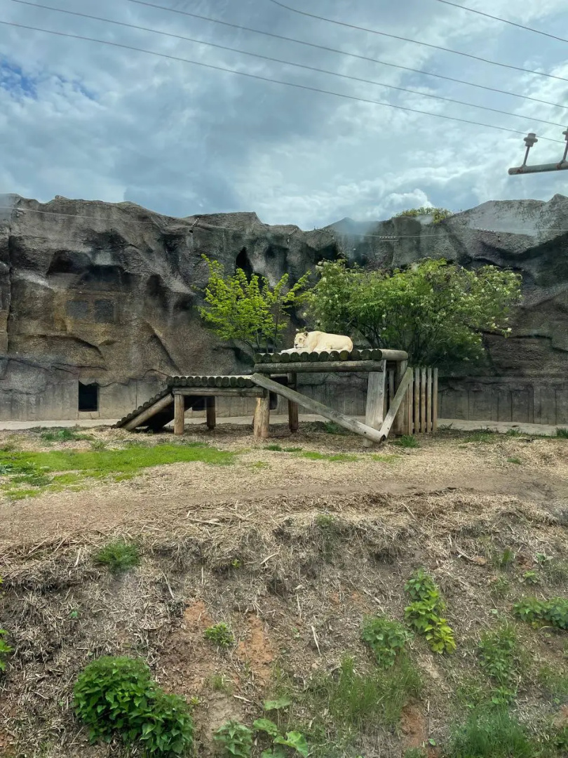 Квартира возле зоопарка