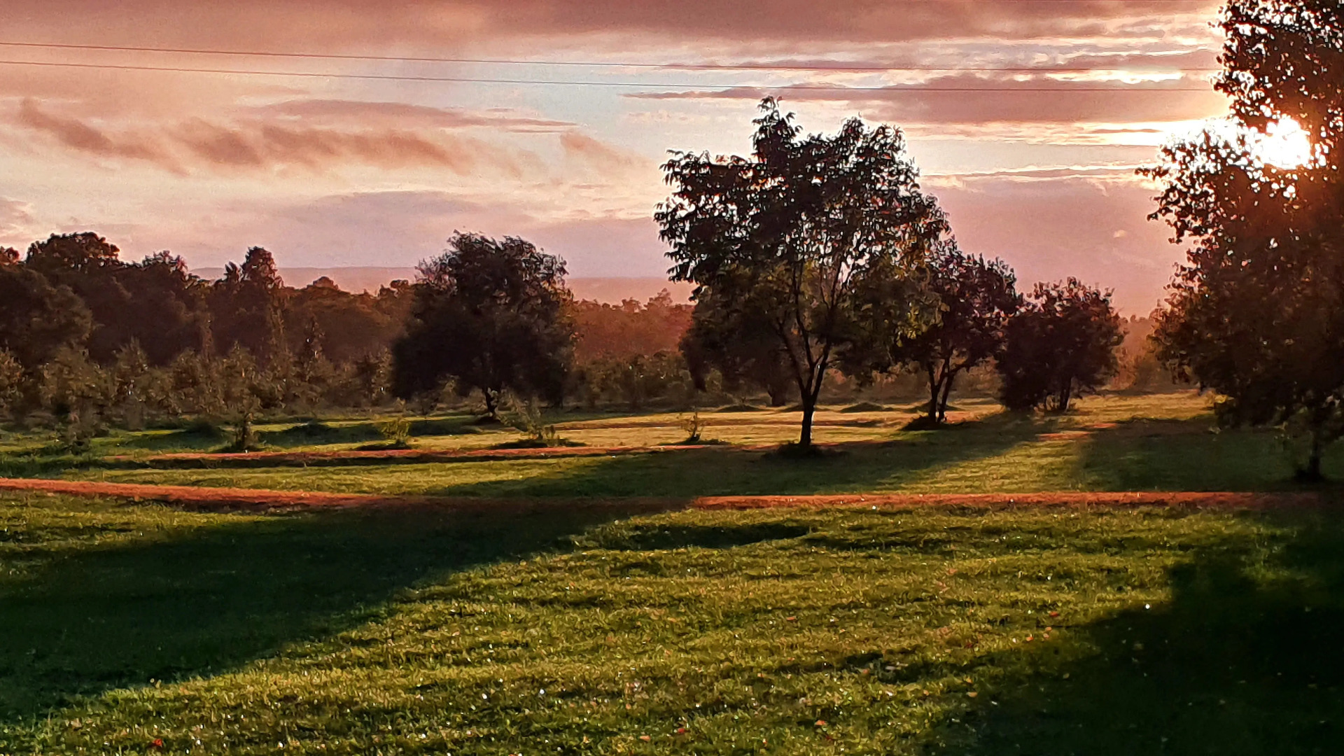 База отдыха Парк-отель Холмы