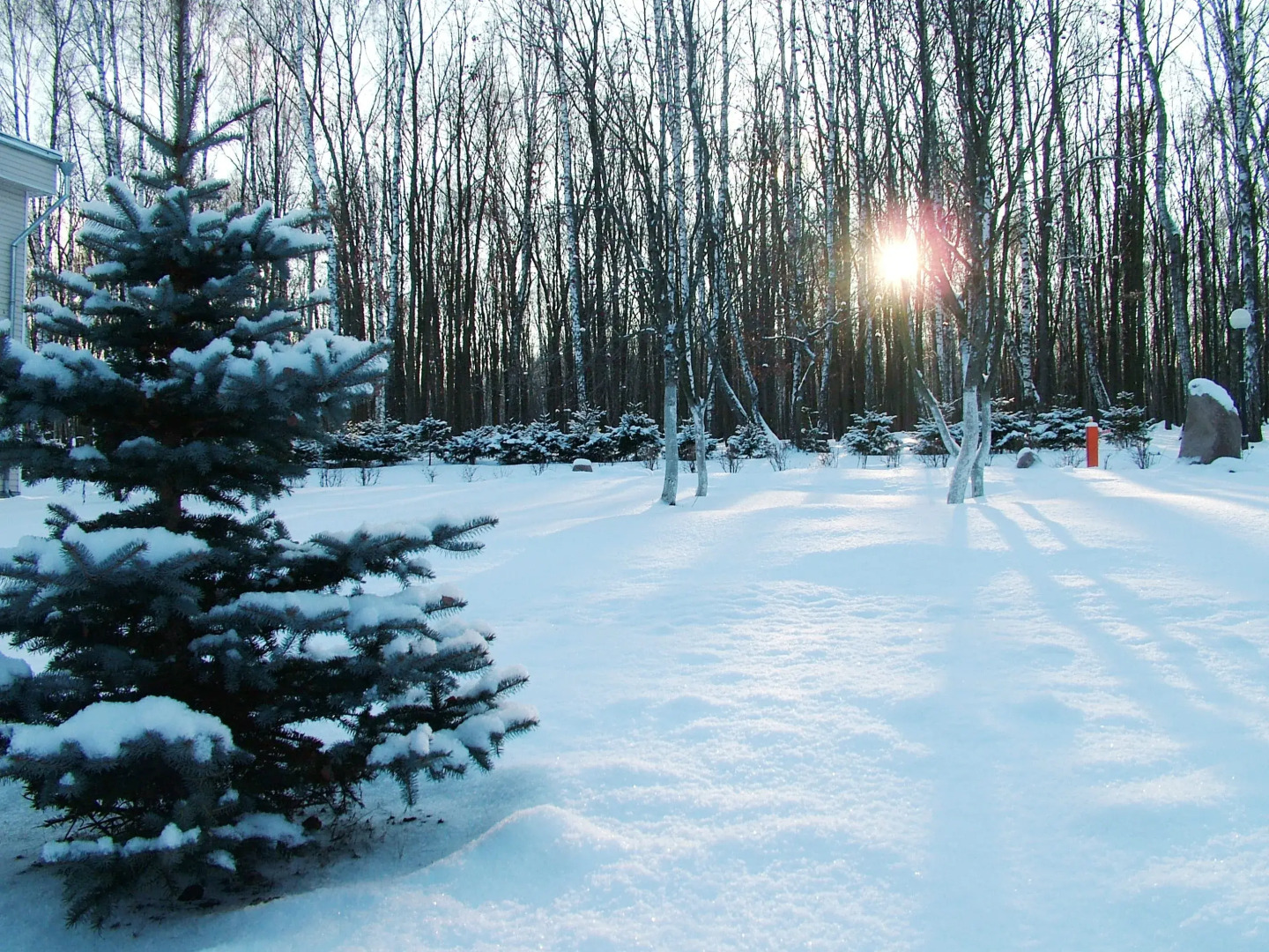 Отель Парк-отель Мечта
