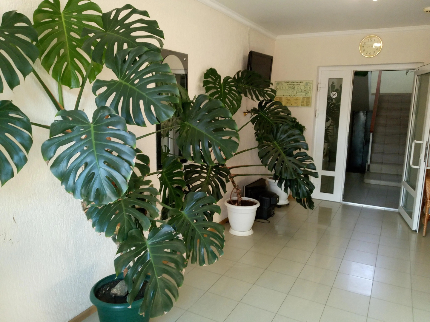 Гостевой дом Космос