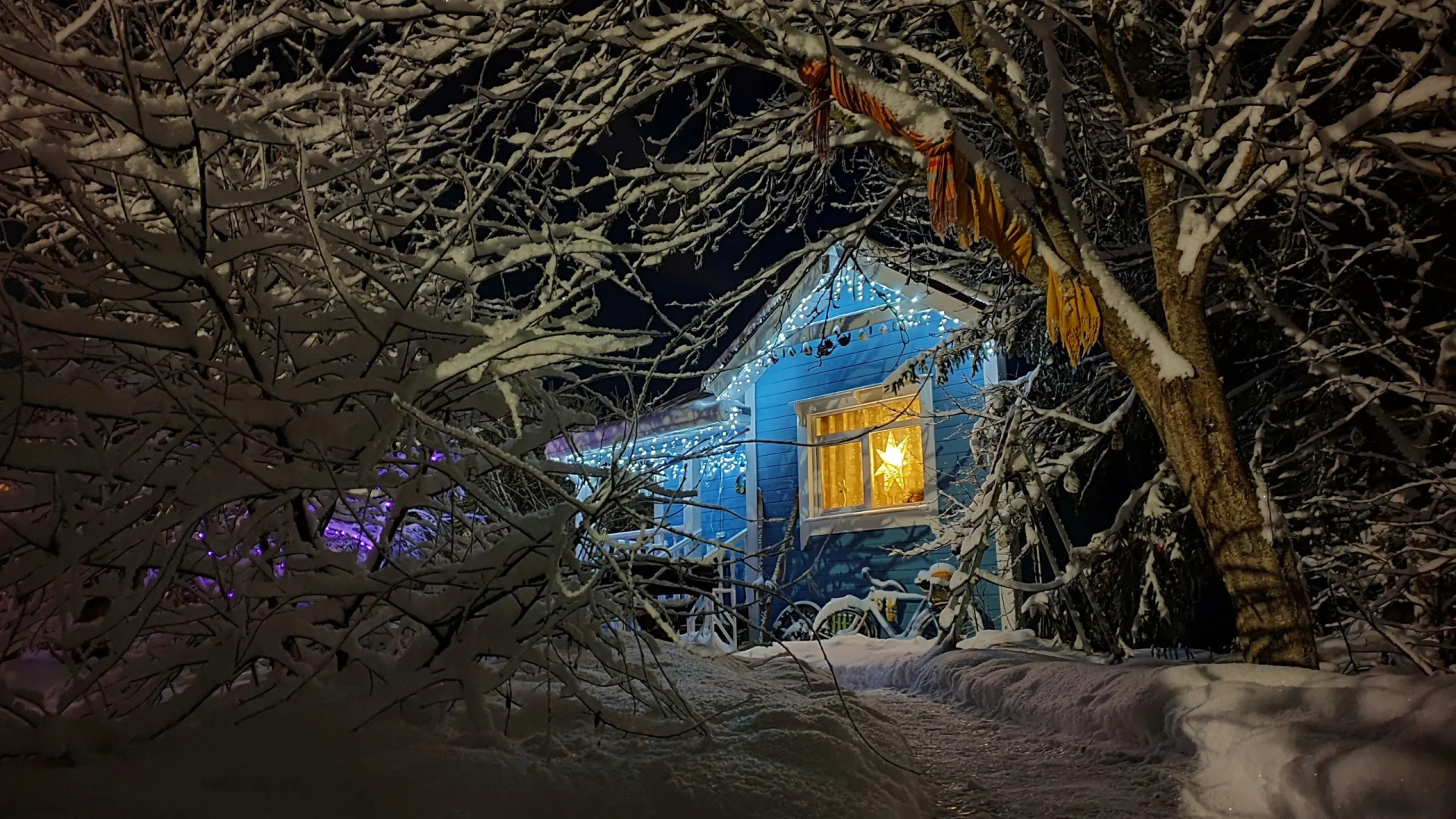 Гостевой дом Лосиный Тупичок