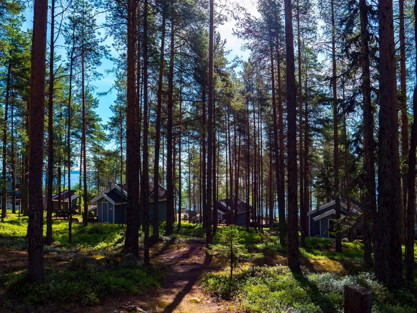 Туристический Комплекс ВелТ