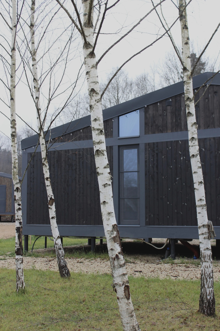 Глэмпинг Тучки