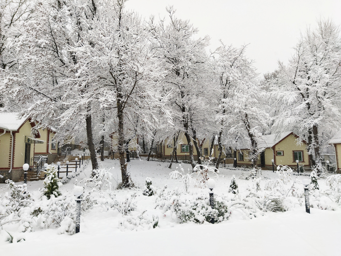 Отель Selena Resort