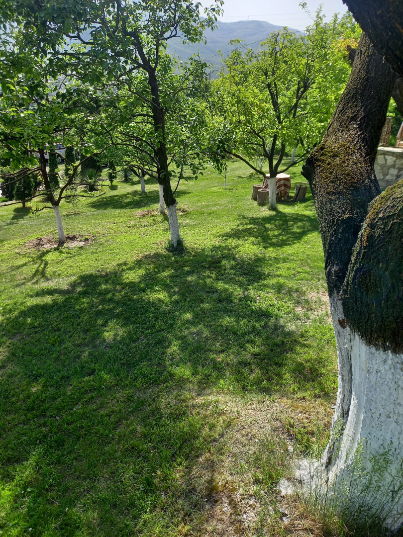 Гостевой дом Ijevan's Garden