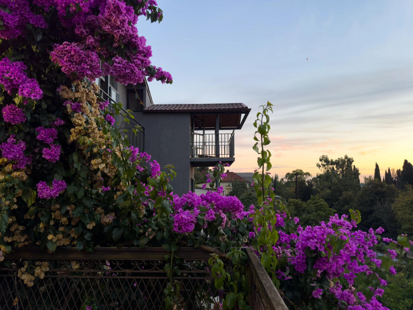 Отель Аимара